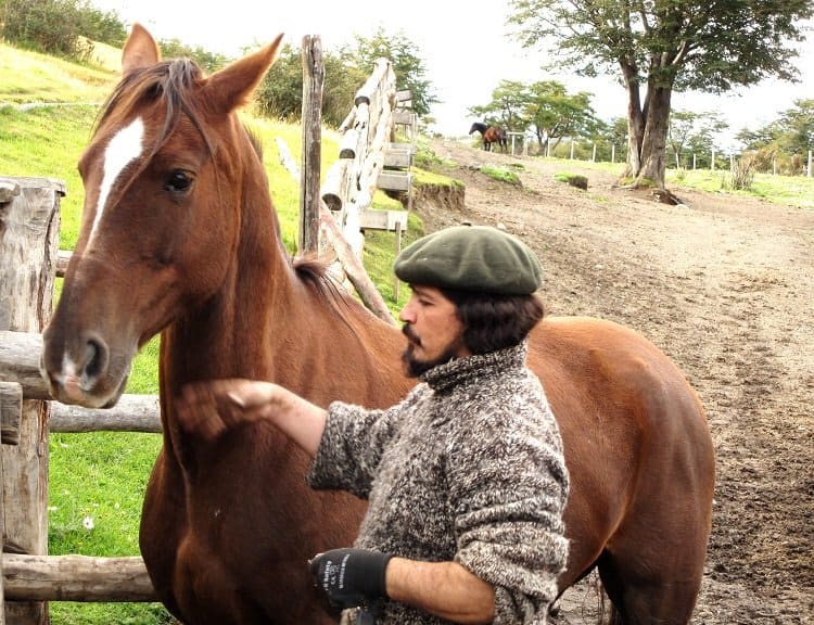 good_horse good horse Patagonias Gauchos: The Cowboy Way (Photo Essay)