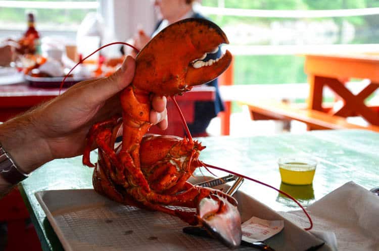 maine food 24 …But Maine Lobster Is Amazing Too 