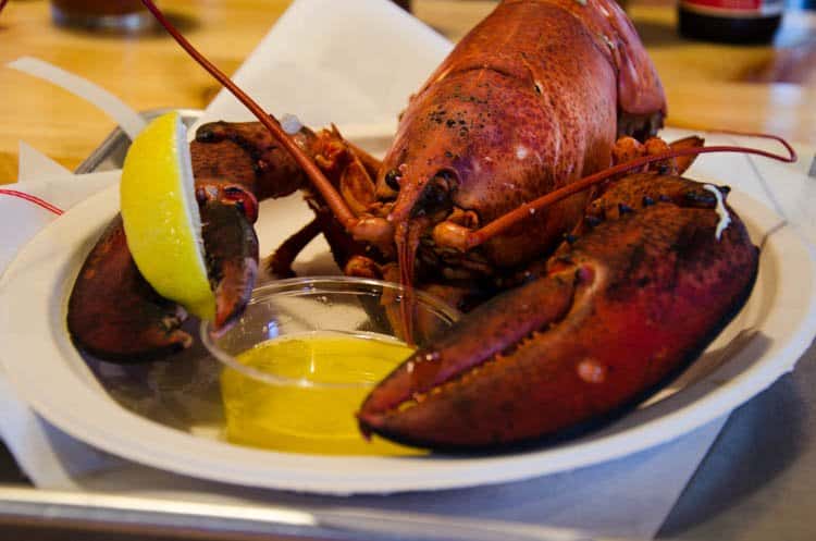 maine food 30 …But Maine Lobster Is Amazing Too 