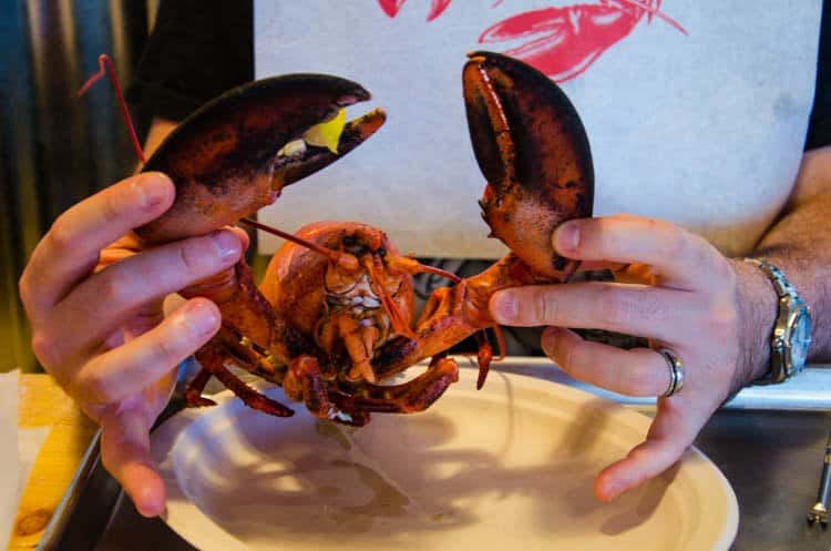 maine food 31 …But Maine Lobster Is Amazing Too 